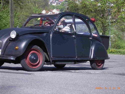 RIMG2906