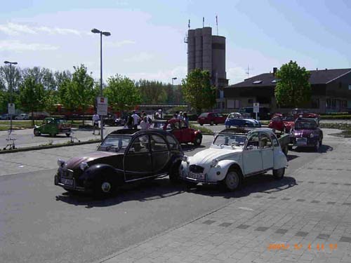 RIMG2925