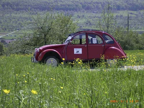 RIMG2969