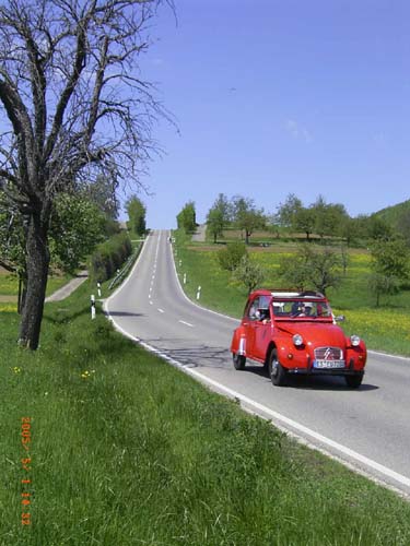 RIMG2972