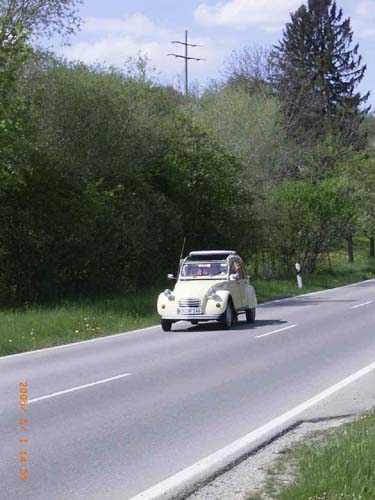 RIMG2973